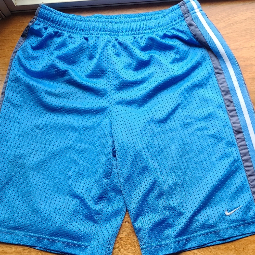 Nike Men's Blue Athletic Shorts
